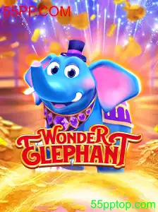 WonderElephant